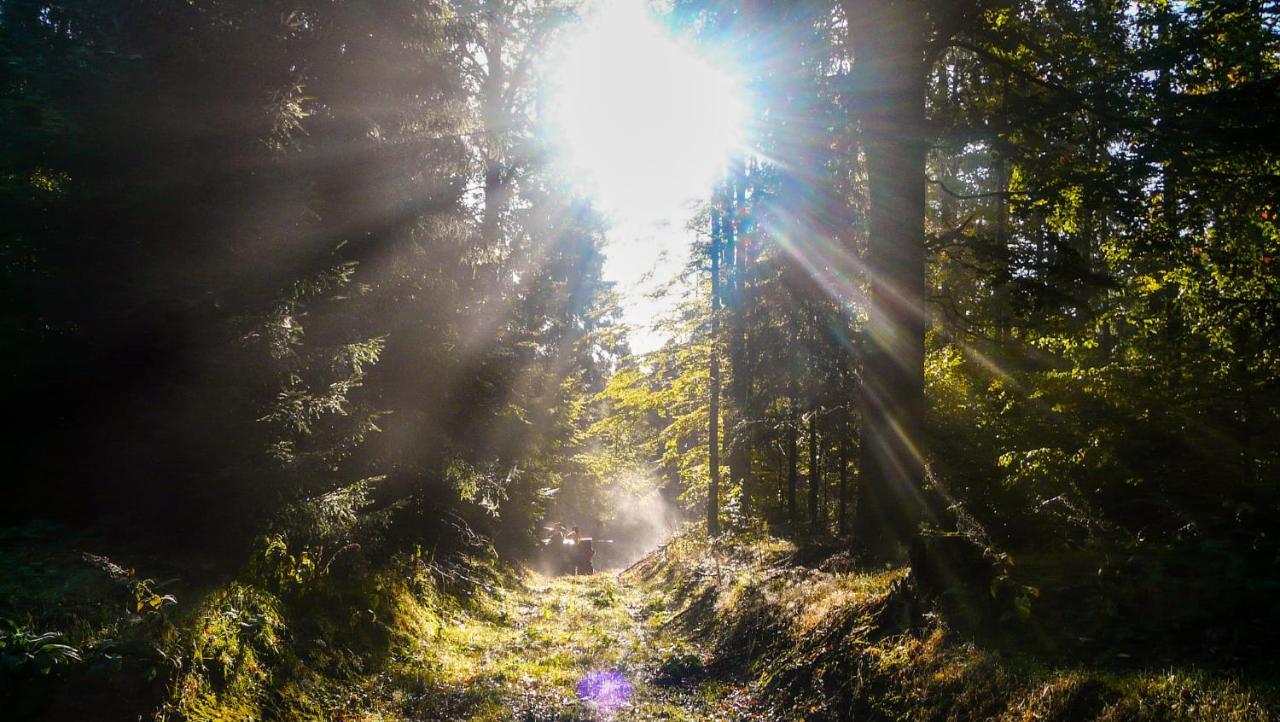 Familien-Hotel Am Traenkbachtal Frauenwald Kültér fotó