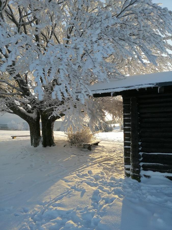 Familien-Hotel Am Traenkbachtal Frauenwald Kültér fotó