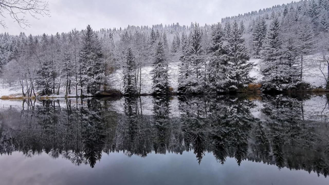 Familien-Hotel Am Traenkbachtal Frauenwald Kültér fotó