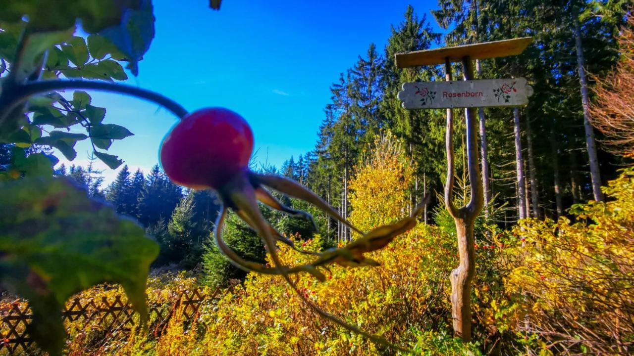 Familien-Hotel Am Traenkbachtal Frauenwald Kültér fotó